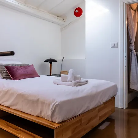 Attico Spazioso Ed Elegante A Santa Maria Maggiore *